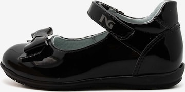 Nero Giardini Ballet Flats in Black