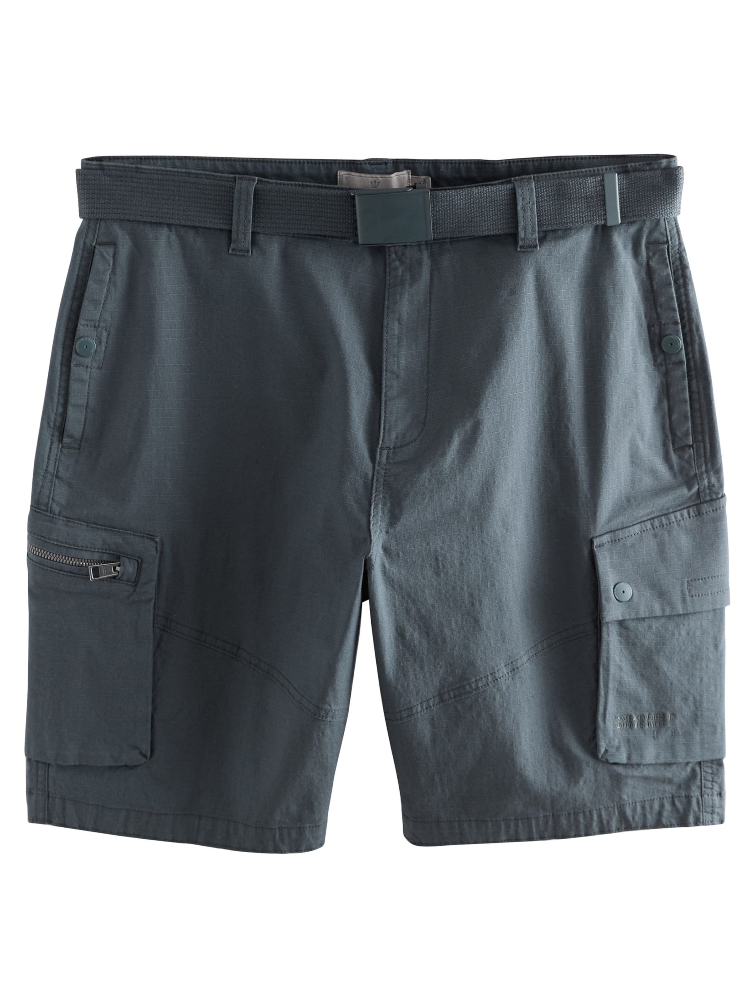 regular Pantaloni cargo di Next in blu: frontale