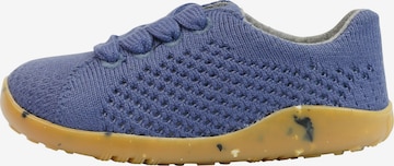 Bobux Sneaker in Blau: front