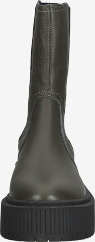 STEVE MADDEN Chelsea Boots in Grün