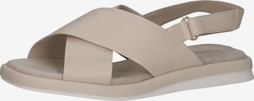 CAPRICE Sandals in Beige: front