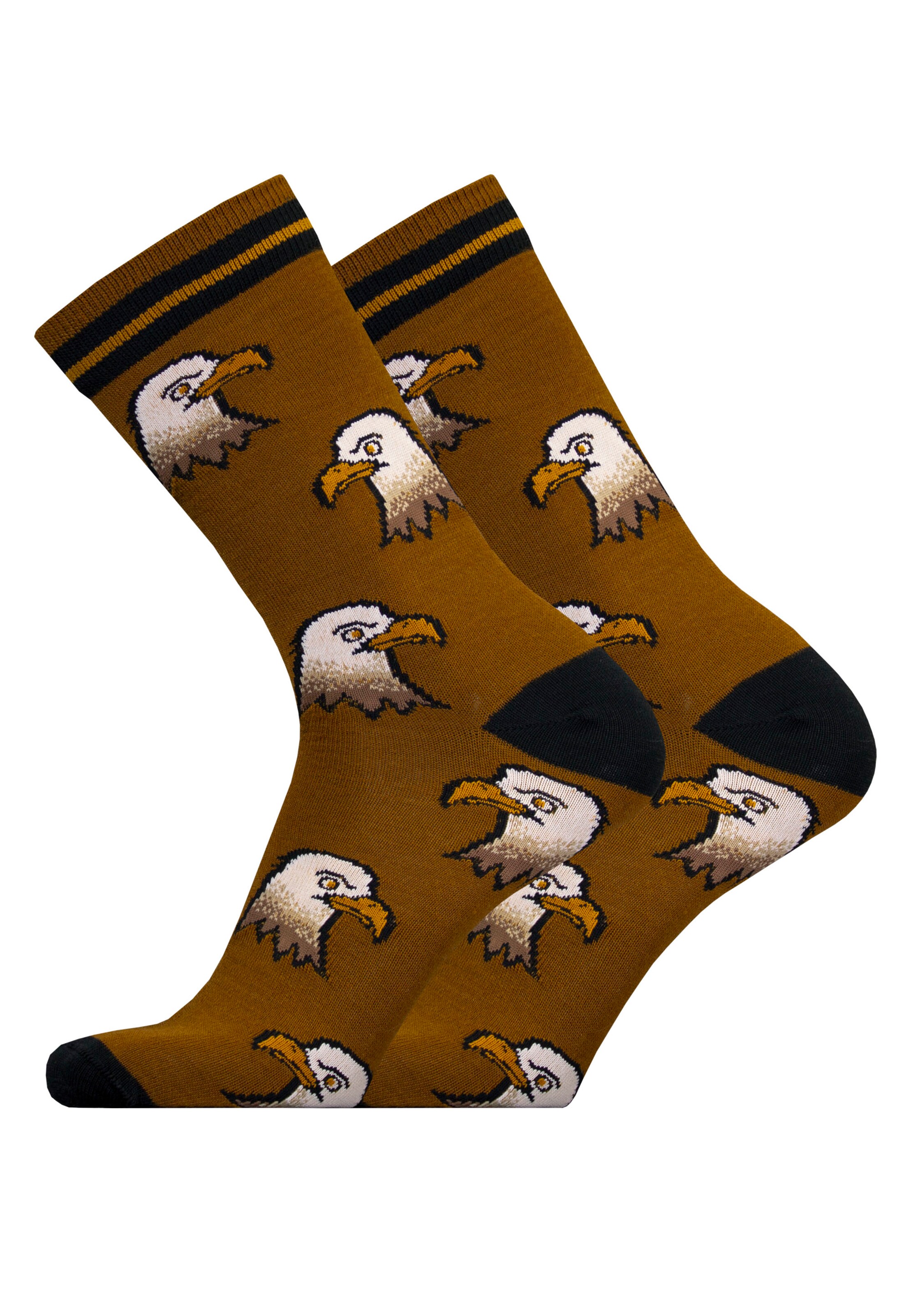 UphillSport Socks 'EAGLE' in Brown: front