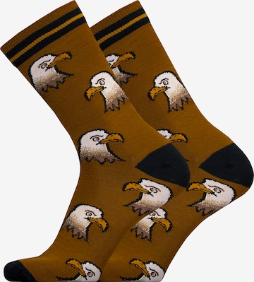 UphillSport Socks 'EAGLE' in Brown: front