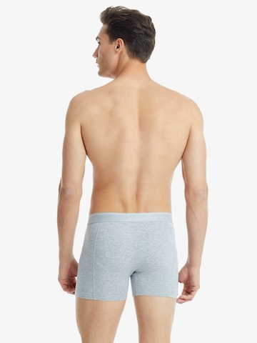 Blackspade Board shorts in Grey