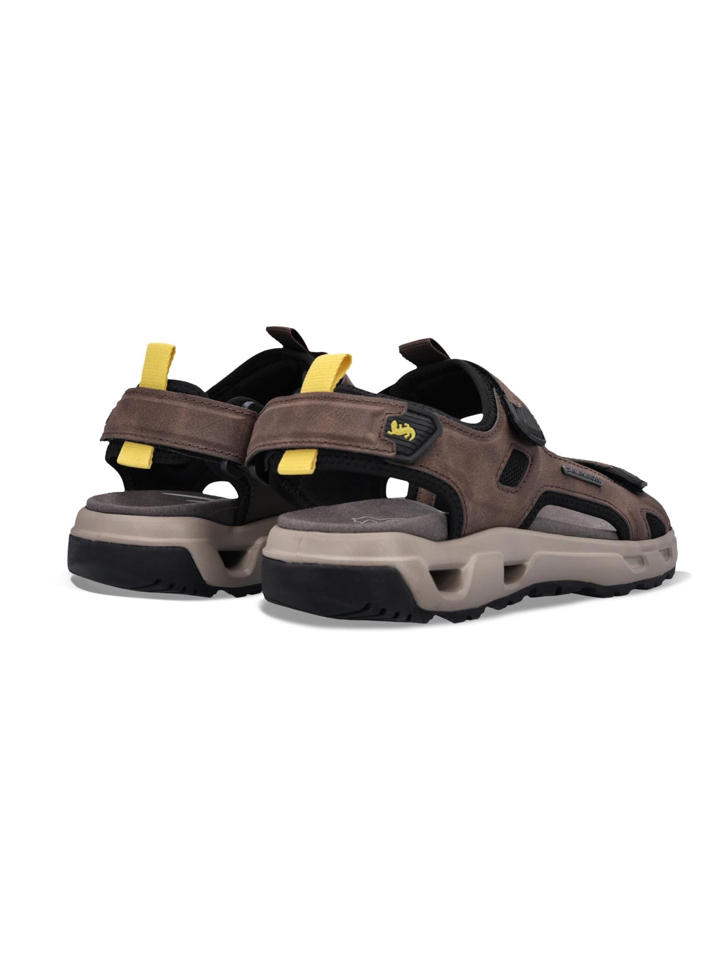 SALAMANDER Hiking Sandals 'Basic' in Brown