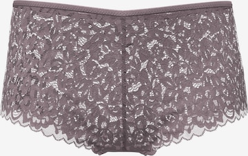 Panty 'Natural Comfort Lace' di CALIDA in marrone: frontale