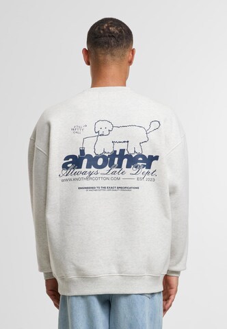 Sweat-shirt 'Still Pretty' Another Cotton Lab en gris : devant