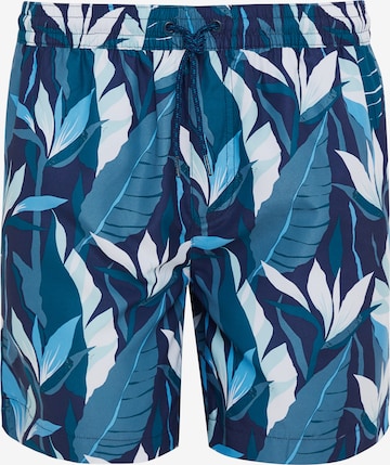 Threadbare Swimming shorts 'Ashdale' in Blue: front