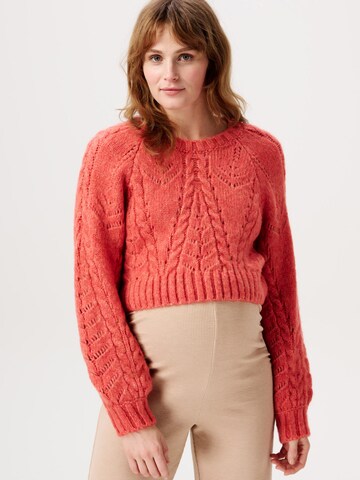 Noppies Sweater 'Esbjerg' in Red: front