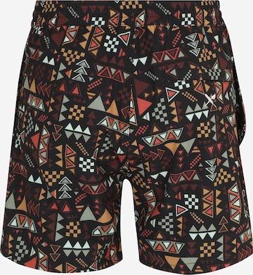 Iriedaily Loosefit Shorts 'Crazy Fresh' in Mischfarben