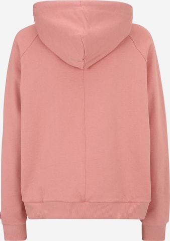 ELLESSE Sweatshirt 'Nekmim' in Pink