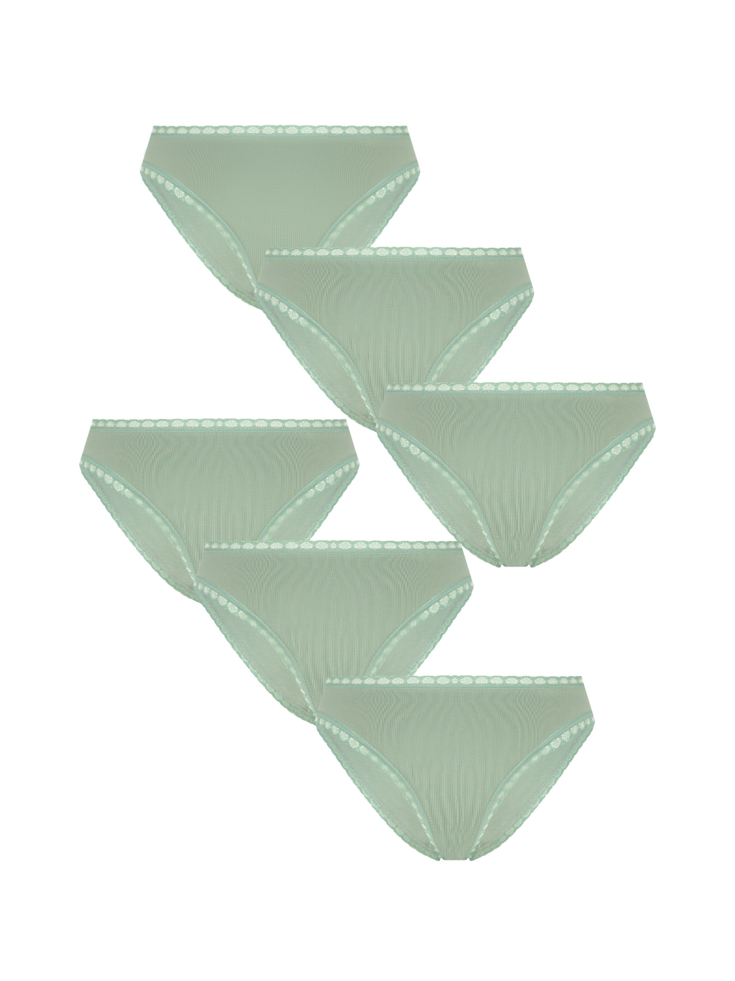 Albero Natur Panty 'Bio-Baumwoll-Slip mit Spitze – 6er Pack' in Green: front