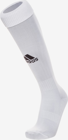 ADIDAS SPORTSWEAR Soccer Socks 'Santos 18' in White: front