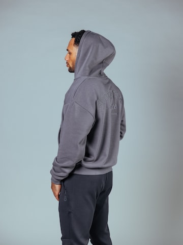Lifters Zip-Up Hoodie in Grey