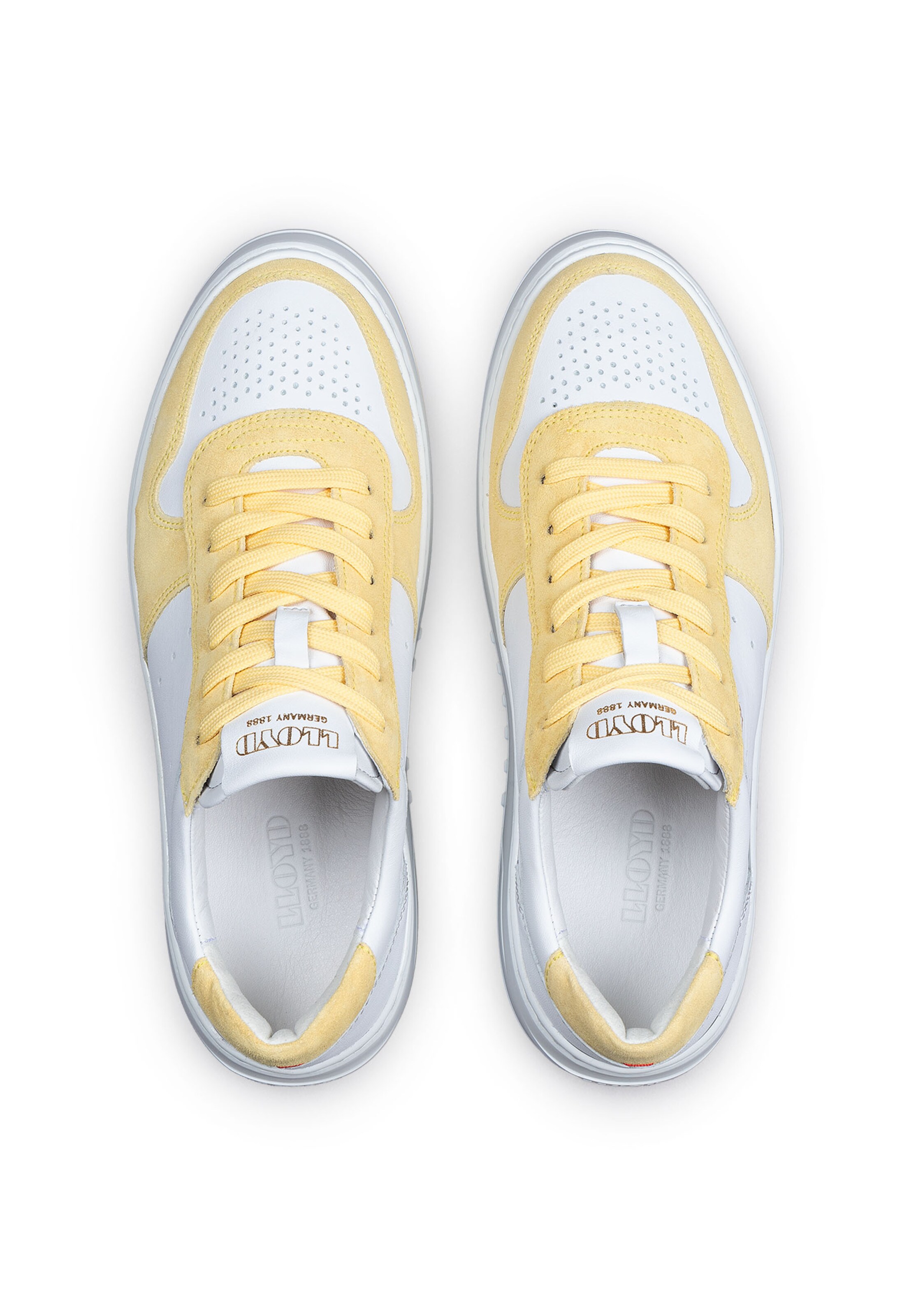 Sneaker bassa di LLOYD in bianco