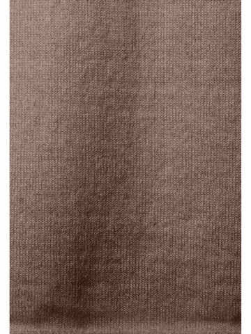 MAERZ Muenchen Pullover in Braun