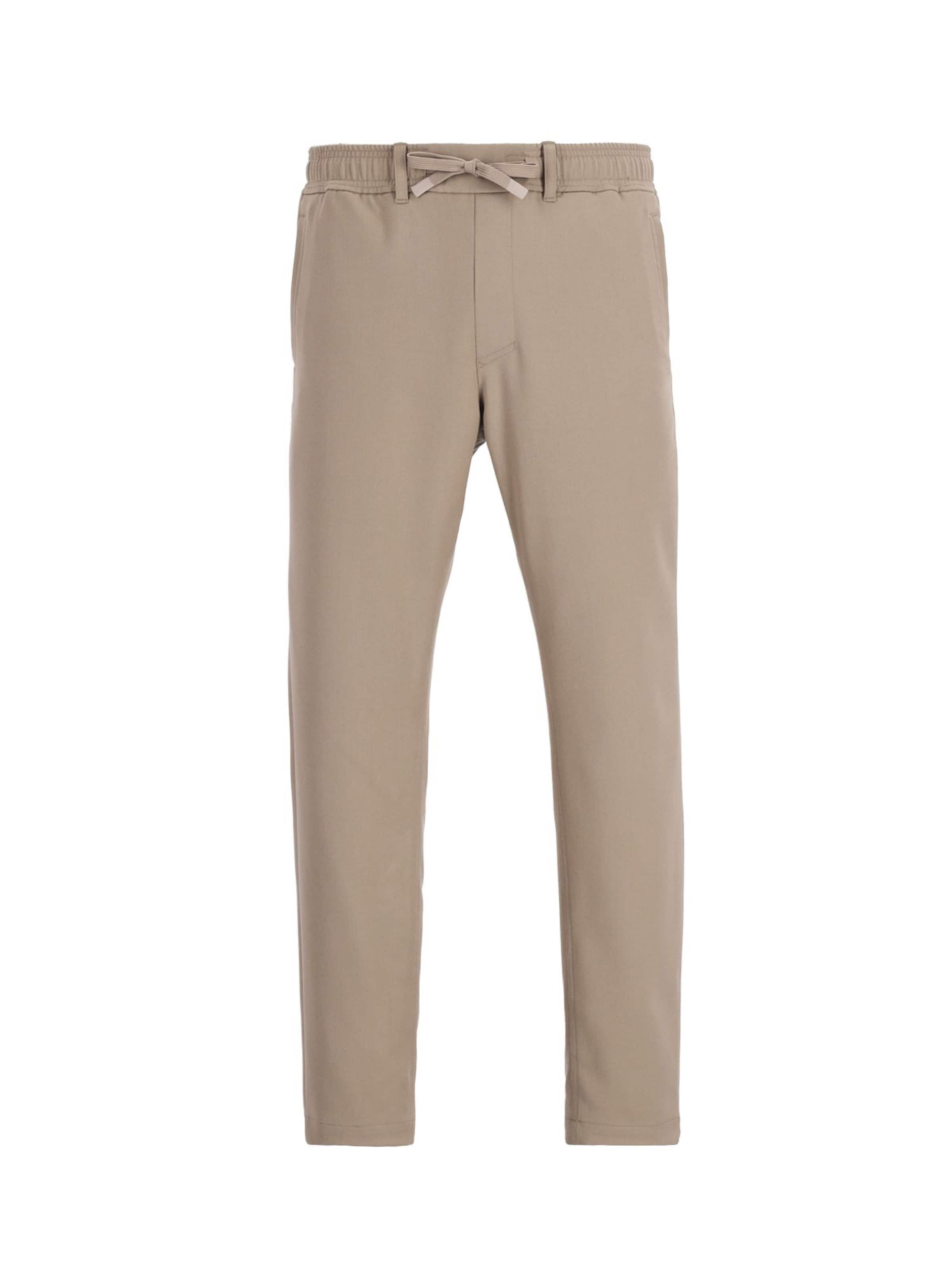 Pantalon chino 'Stone Dual' CHASIN' en beige : devant