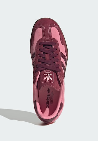 Baskets basses 'Samba' ADIDAS ORIGINALS en rose