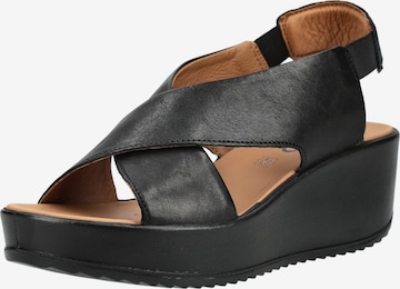 Sandales IGI&CO en noir : devant