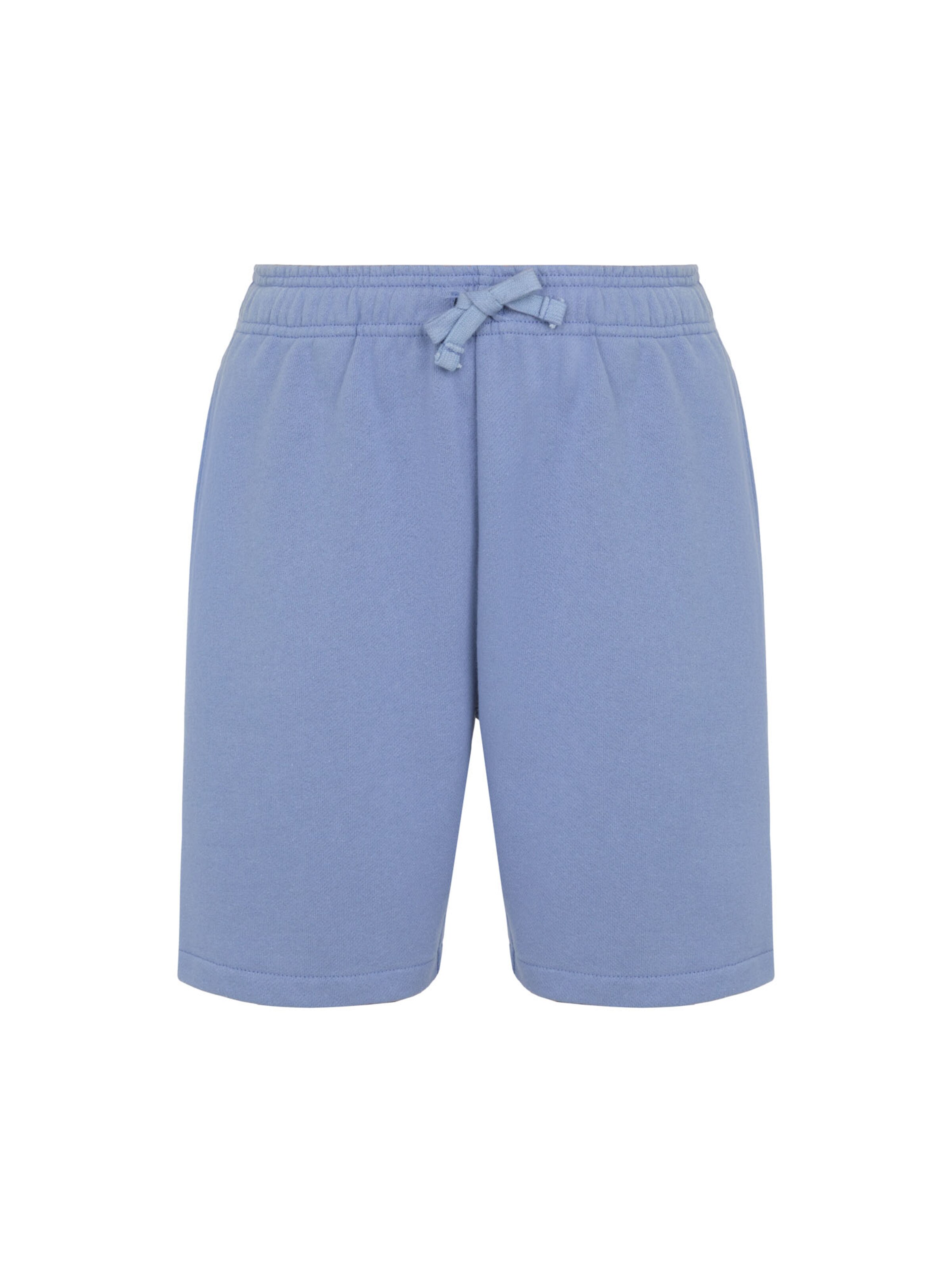 regular Pantaloni 'MAPLETON' di DICKIES in blu: frontale