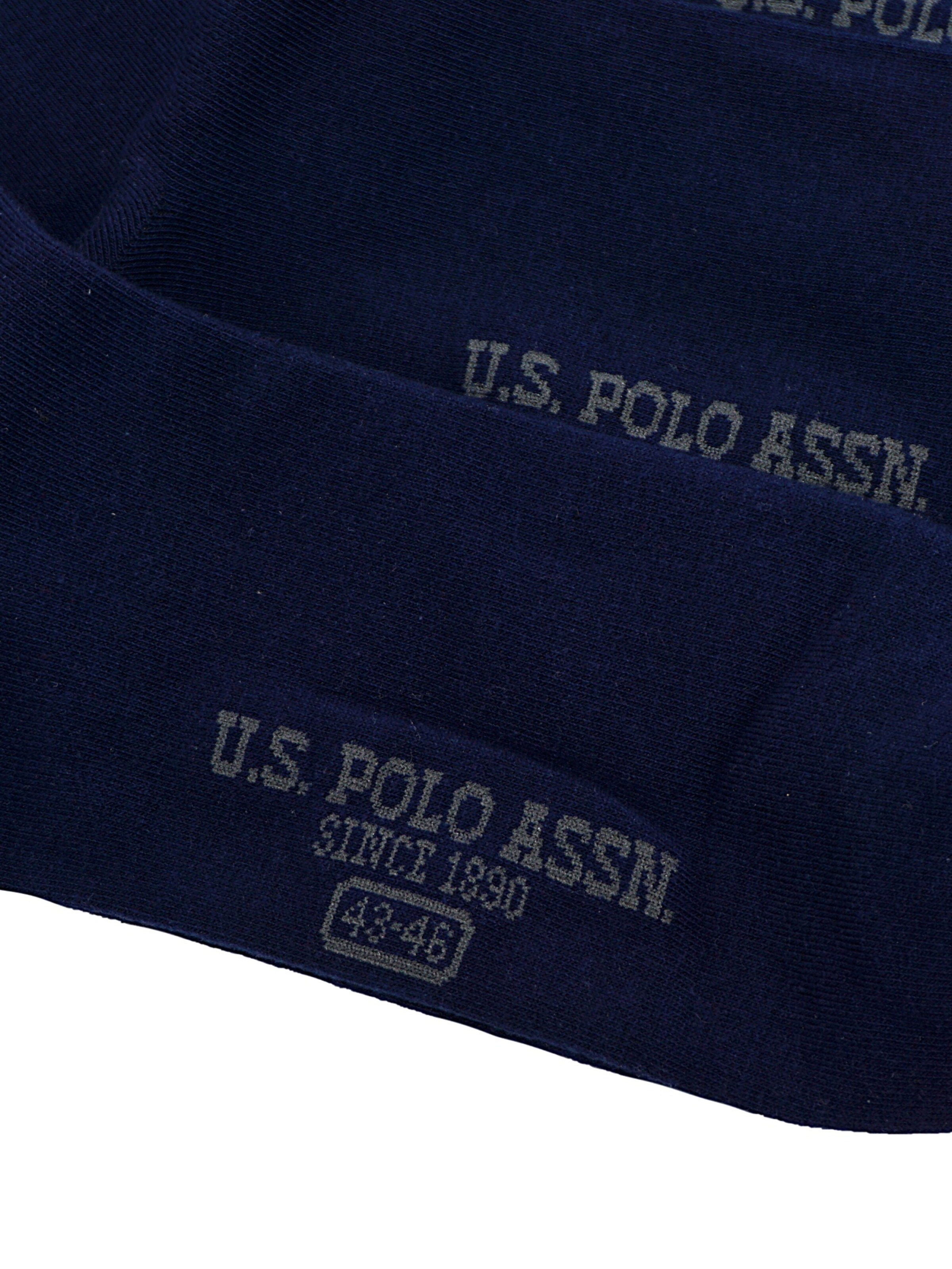 Calzino 'Business' di U.S. POLO ASSN. in blu