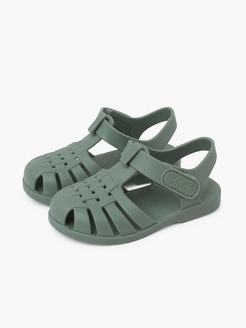 Claquettes / Tongs IGOR en vert