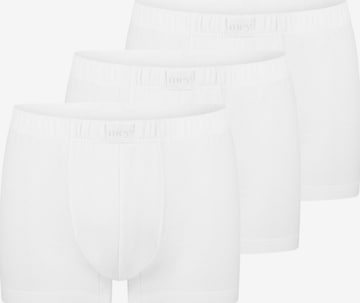 Mey Boxer shorts 'Dry Cotton Breeze' in White: front