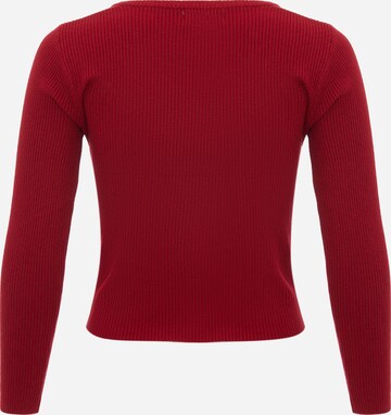 leo basics Sweater in Red