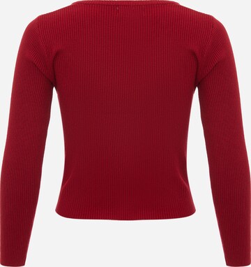 leo basics Pullover in Rot