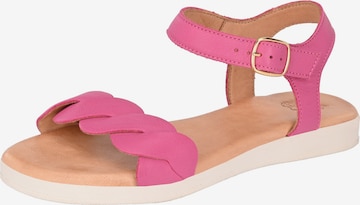 Apple of Eden Strap Sandals ' INEZ ' in Pink: front
