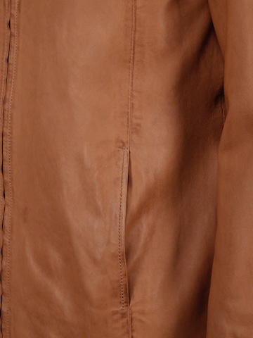 JCC Tussenjas 'Saros' in Bruin