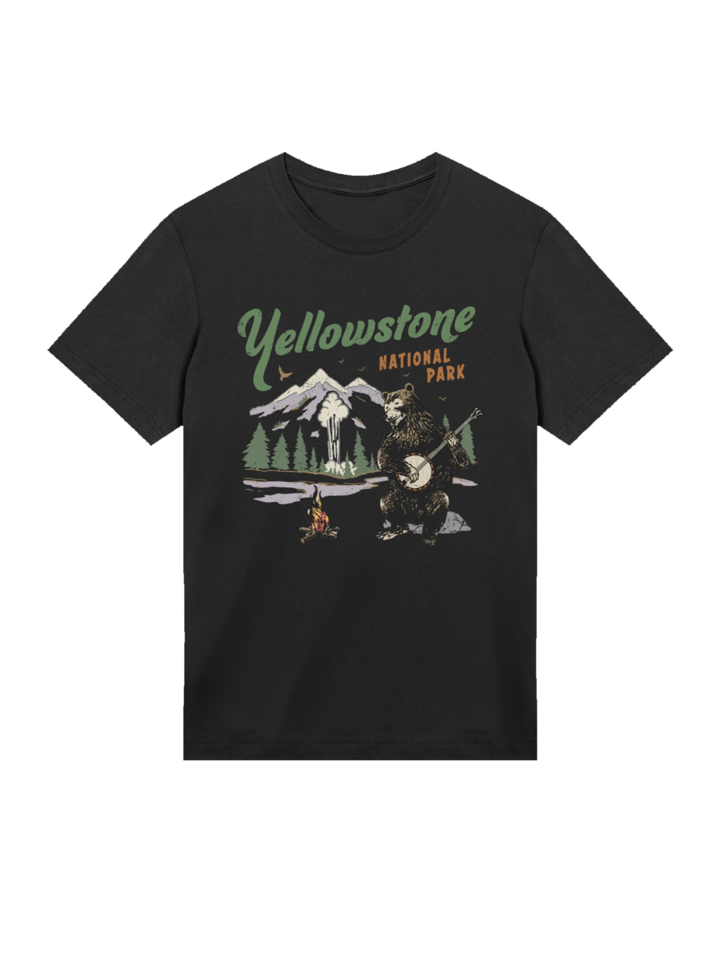 F4NT4STIC Shirt in Black: front