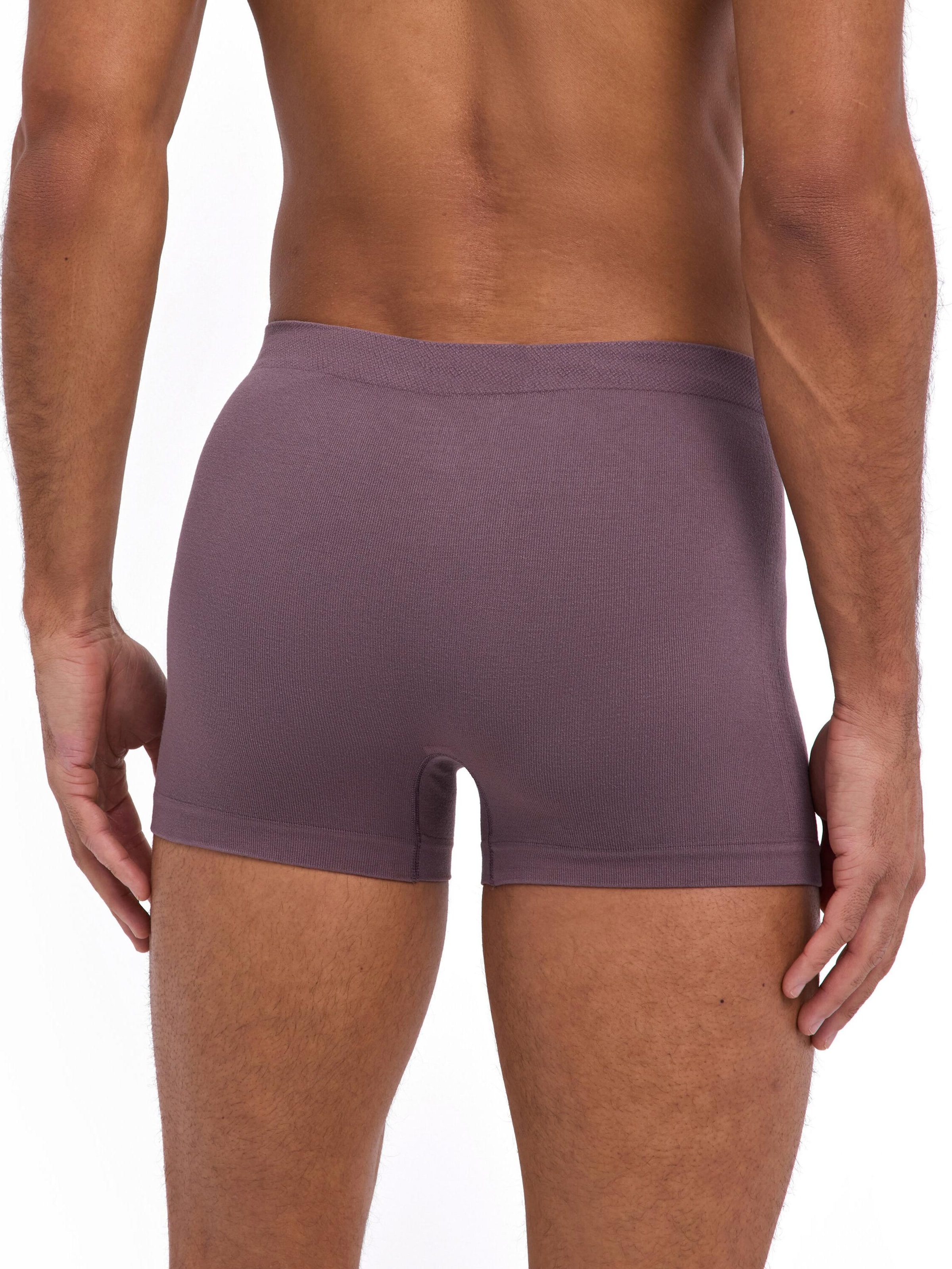 FALKE Boxer shorts 'Seamless' in Brown