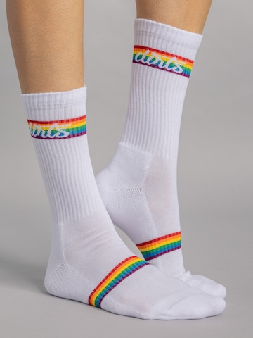 Dirts Socken 'Rainbow Socks 1.0'‌‌‌‌‌‌‌‌ in Weiß: Vorderseite