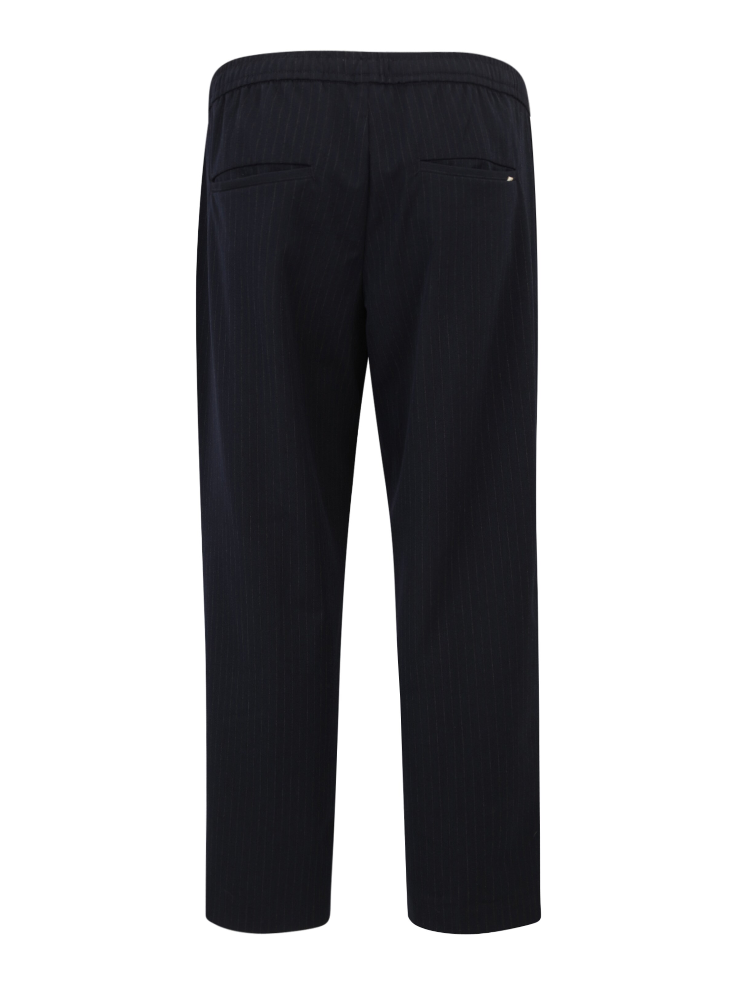 Regular Pantalon 'JPSTKane JJEDwin' Jack & Jones Plus en bleu