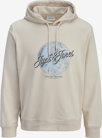 JACK & JONES Sweatshirt in Grey: front