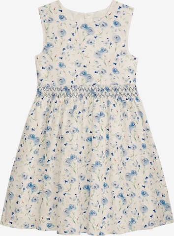 Danamade Mekko värissä sininen: etupuoli