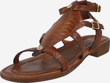 Bata Strap Sandals in Brown: front