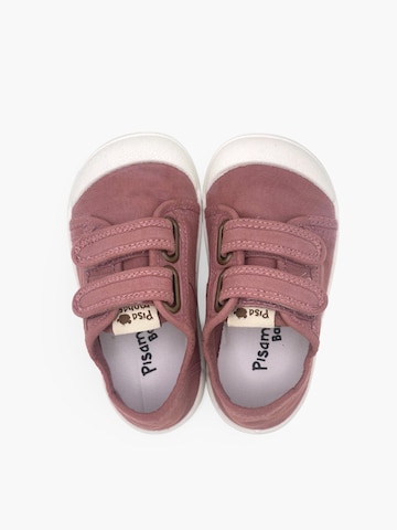 Pisamonas Sneaker‌‌‌‌‌ in Pink