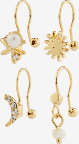 PilgrimNaušnice 'EVON' - zlatna boja: prednji dio