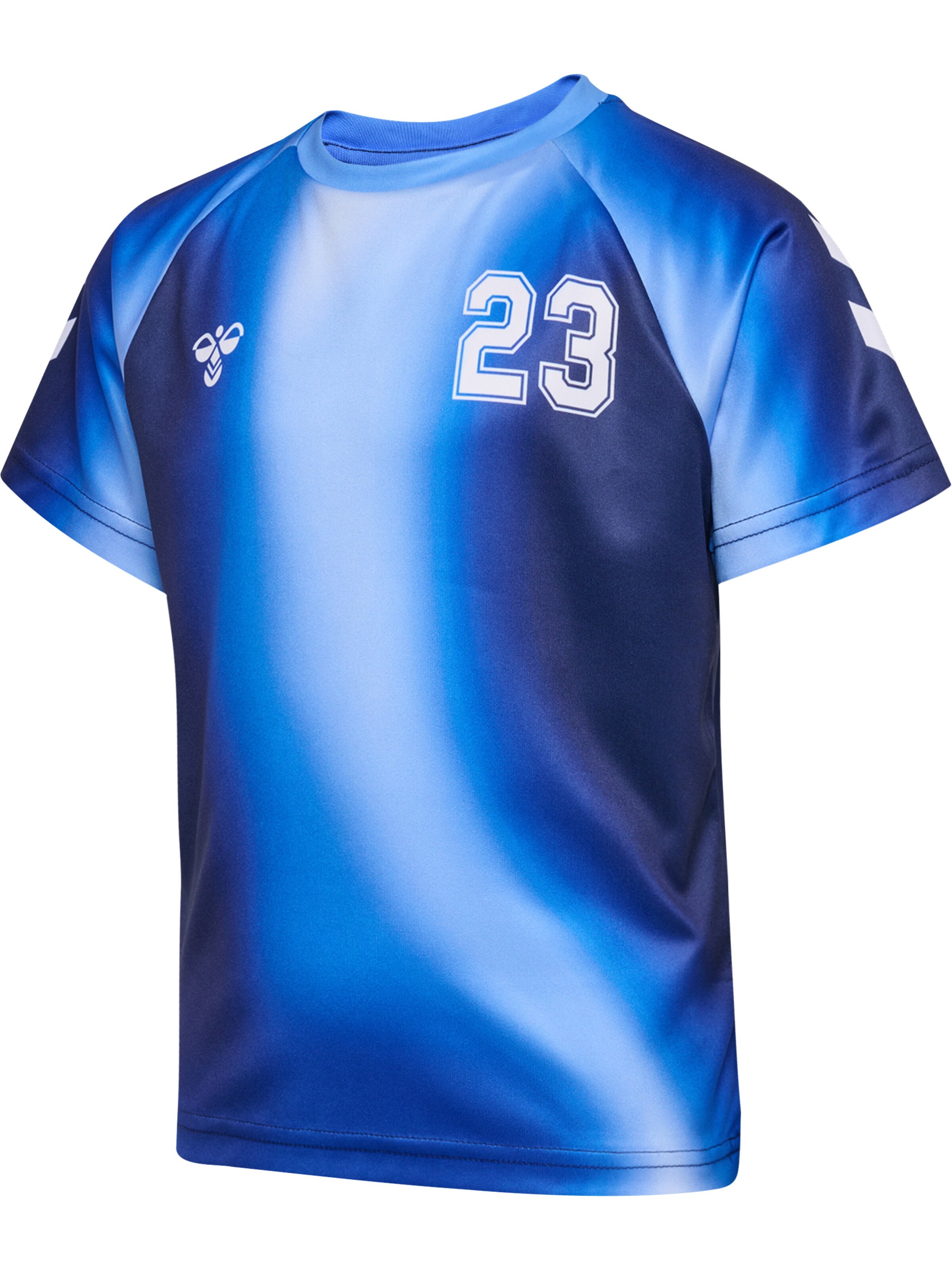 Hummel Regular Fit Sportanzug in Blau