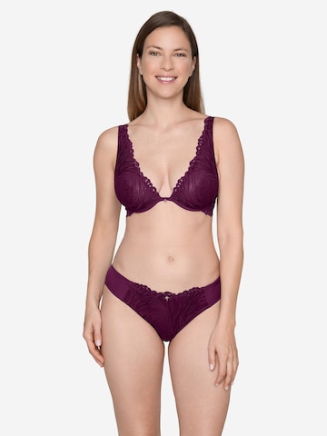 JOOP! BH ' Intimate Apparel ' in Lila
