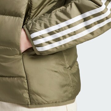 ADIDAS SPORTSWEAR Λειτουργικό μπουφάν 'Essentials' σε πράσινο