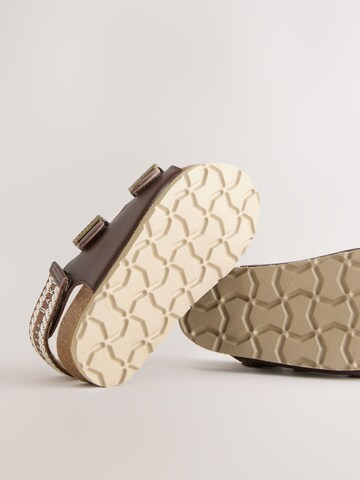 Baker by Ted Baker Sandaalid, värv pruun