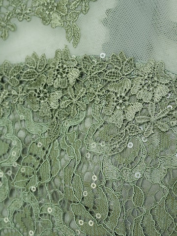 Danamade Dress in Green