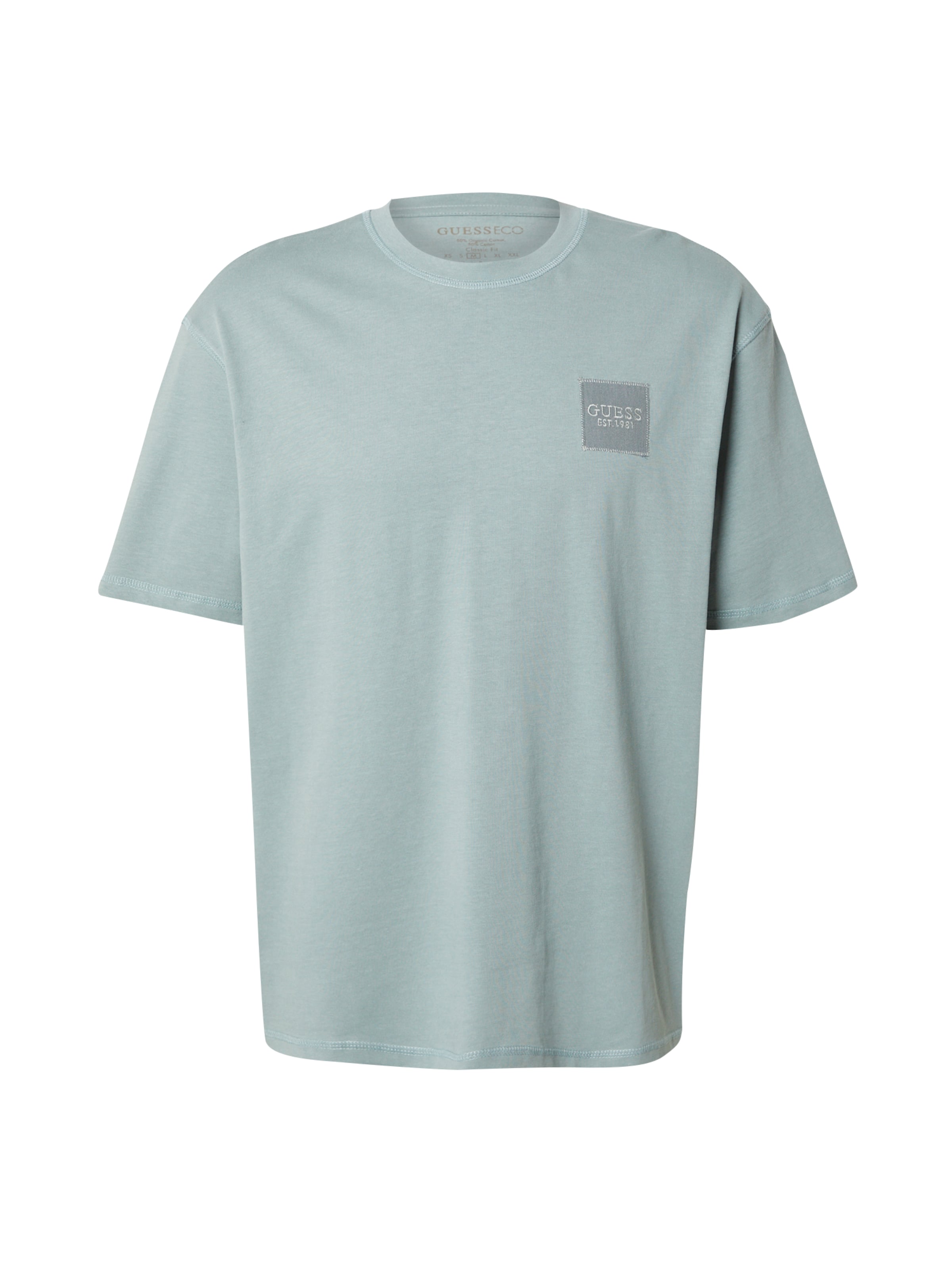 GUESS T-Shirt in Grau: Vorderseite