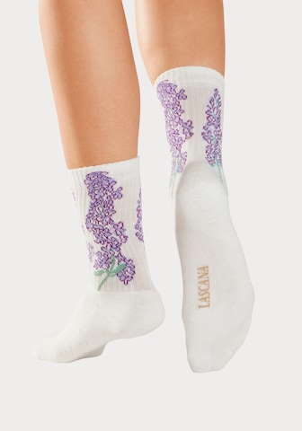 LASCANA Socken in Weiß