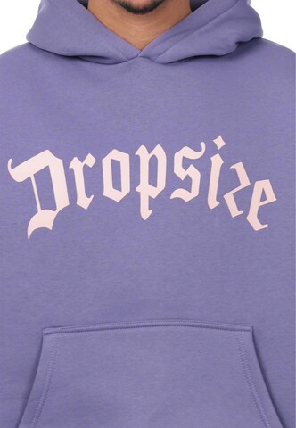 Dropsize Sweatshirt i blå
