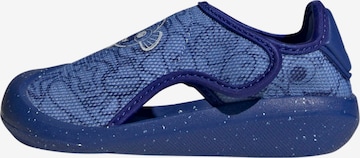 ADIDAS PERFORMANCE Beach & Pool Shoes 'adidas x Disney' in Blue: front