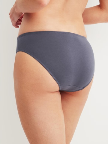 Slip 'Essential Cotton' di CALIDA in grigio